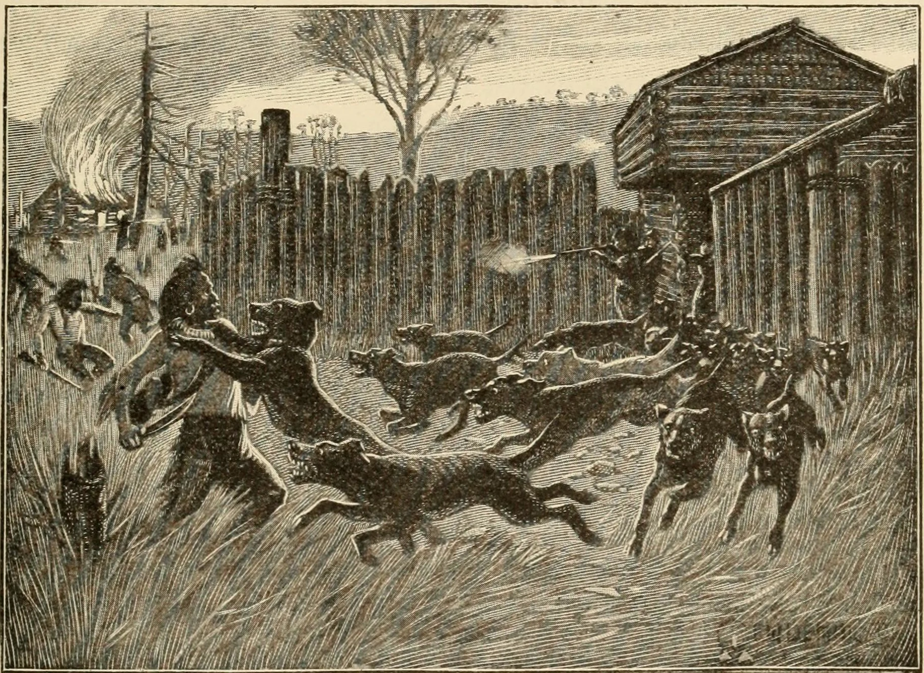 Treaty of Sycamore Shoals