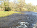 Another view of Shoal Creek.