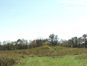 This mound is south of the platform mound. A trail has been mowed to the top.