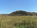 A view of the hills across the Harpeth River, looking east across the plaza from the base of the platform mound.