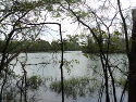 The Forks of the Stones River.