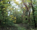 Several old road beds besides the Trail of Tears section are still visible at Old Jefferson.