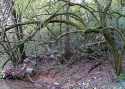 Remains of the old wharf area are still visible.