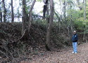 The northern end of the Trail of Tears section is a sunken roadbed.